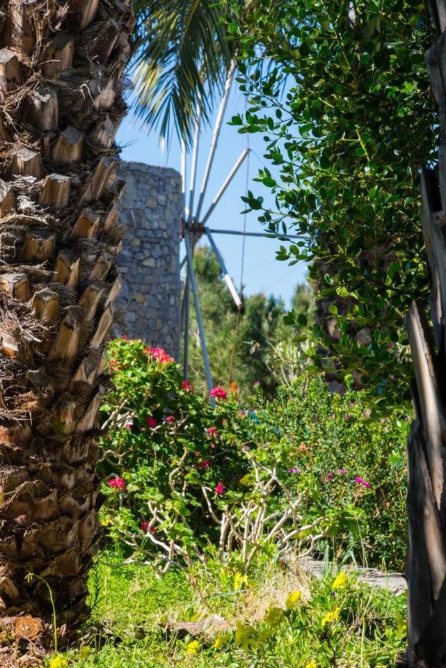 Вилла Authentic Cretan Stone Windmill Сития Экстерьер фото